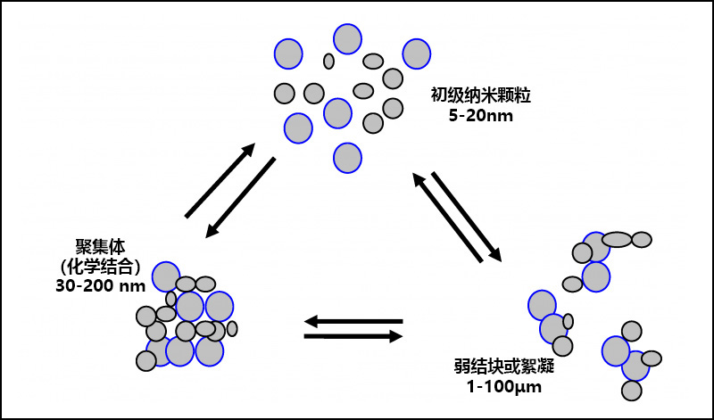 顏料顆粒、絮凝和團聚之間的關(guān)系