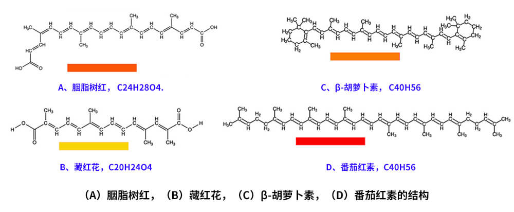藏紅花、胭脂樹(shù)紅、β-胡蘿卜素、番茄紅素的化學(xué)結(jié)構(gòu)